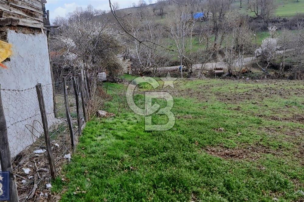 KAZDAĞLARININ İNCİSİ YENİCE'DE 2 ADET 1186.M2.LİK BÜYÜK ARSA.