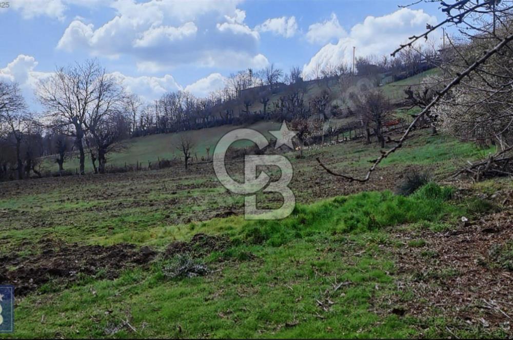 KAZDAĞLARININ İNCİSİ YENİCE'DE 2 ADET 1186.M2.LİK BÜYÜK ARSA.