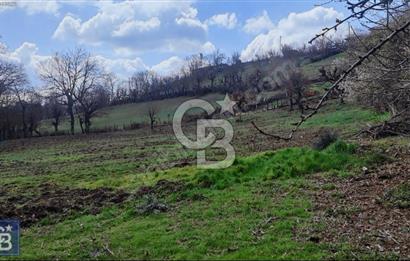 KAZDAĞLARININ İNCİSİ YENİCE'DE 2 ADET 1186.M2.LİK BÜYÜK ARSA.