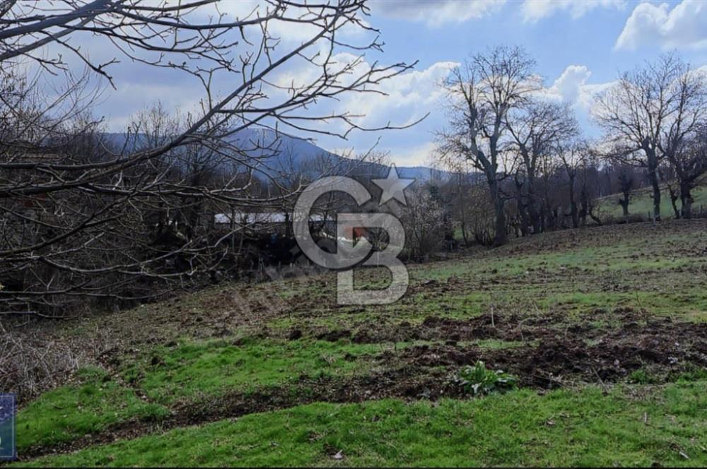 KAZDAĞLARININ İNCİSİ YENİCE'DE 2 ADET 1186.M2.LİK BÜYÜK ARSA.