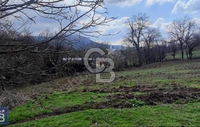 KAZDAĞLARININ İNCİSİ YENİCE'DE 2 ADET 1186.M2.LİK BÜYÜK ARSA.