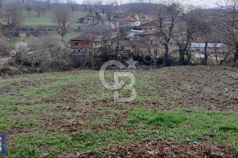 KAZDAĞLARININ İNCİSİ YENİCE'DE 2 ADET 1186.M2.LİK BÜYÜK ARSA.