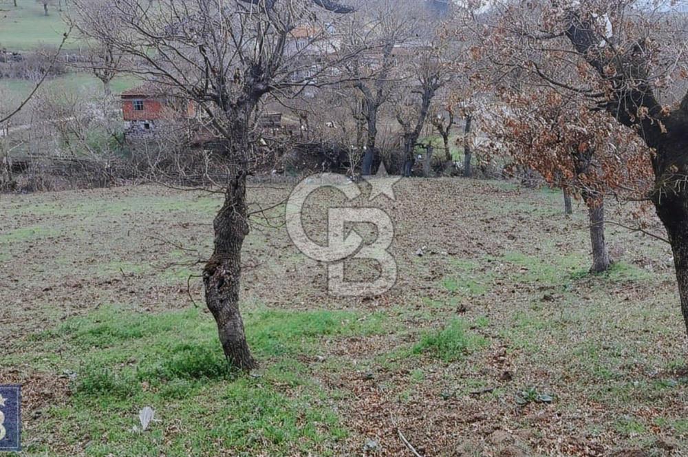 KAZDAĞLARININ İNCİSİ YENİCE'DE 2 ADET 1186.M2.LİK BÜYÜK ARSA.
