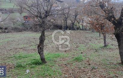 KAZDAĞLARININ İNCİSİ YENİCE'DE 2 ADET 1186.M2.LİK BÜYÜK ARSA.