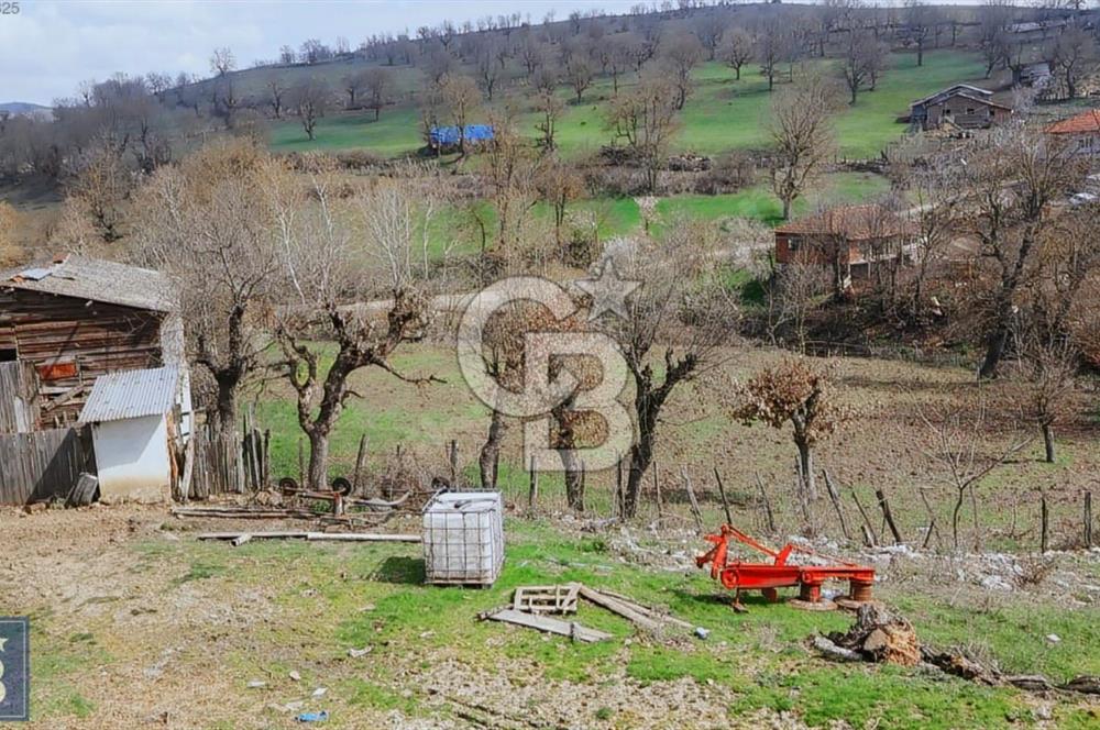 KAZDAĞLARININ İNCİSİ YENİCE'DE 2 ADET 1186.M2.LİK BÜYÜK ARSA.