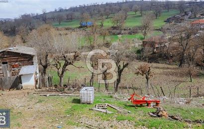 KAZDAĞLARININ İNCİSİ YENİCE'DE 2 ADET 1186.M2.LİK BÜYÜK ARSA.