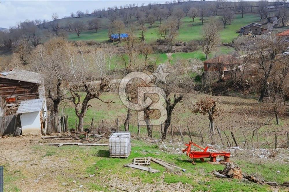 KAZDAĞLARININ İNCİSİ YENİCE'DE 2 ADET 1186.M2.LİK BÜYÜK ARSA.