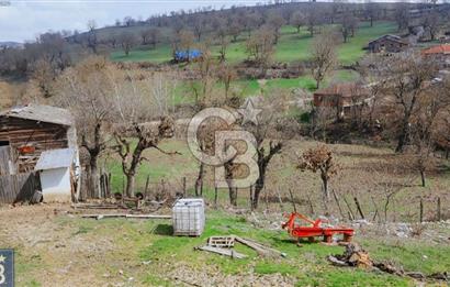 KAZDAĞLARININ İNCİSİ YENİCE'DE 2 ADET 1186.M2.LİK BÜYÜK ARSA.