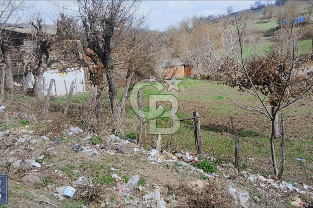 KAZDAĞLARININ İNCİSİ YENİCE'DE 2 ADET 1186.M2.LİK BÜYÜK ARSA.