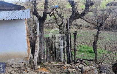 KAZDAĞLARININ İNCİSİ YENİCE'DE 2 ADET 1186.M2.LİK BÜYÜK ARSA.