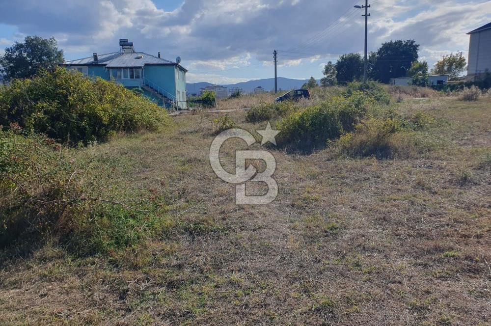 YALOVA FEVZİÇAKMAK HAKİM TEPEDE 5 PARSEL ARSA 