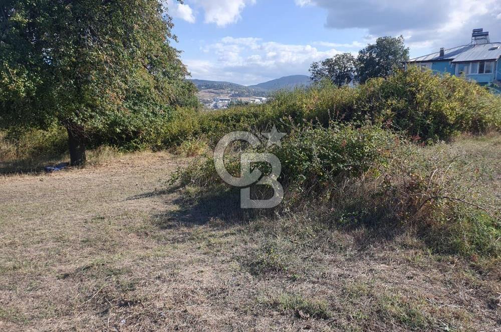 YALOVA FEVZİÇAKMAK HAKİM TEPEDE 5 PARSEL ARSA 