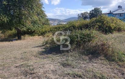 YALOVA FEVZİÇAKMAK HAKİM TEPEDE 5 PARSEL ARSA 