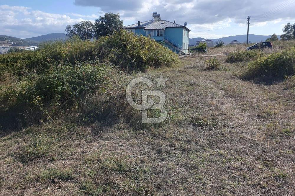 YALOVA FEVZİÇAKMAK HAKİM TEPEDE 5 PARSEL ARSA 