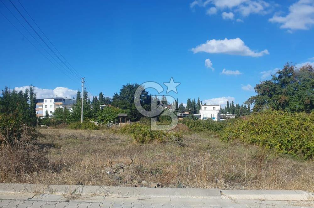 YALOVA FEVZİÇAKMAK HAKİM TEPEDE 5 PARSEL ARSA 