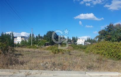 YALOVA FEVZİÇAKMAK HAKİM TEPEDE 5 PARSEL ARSA 