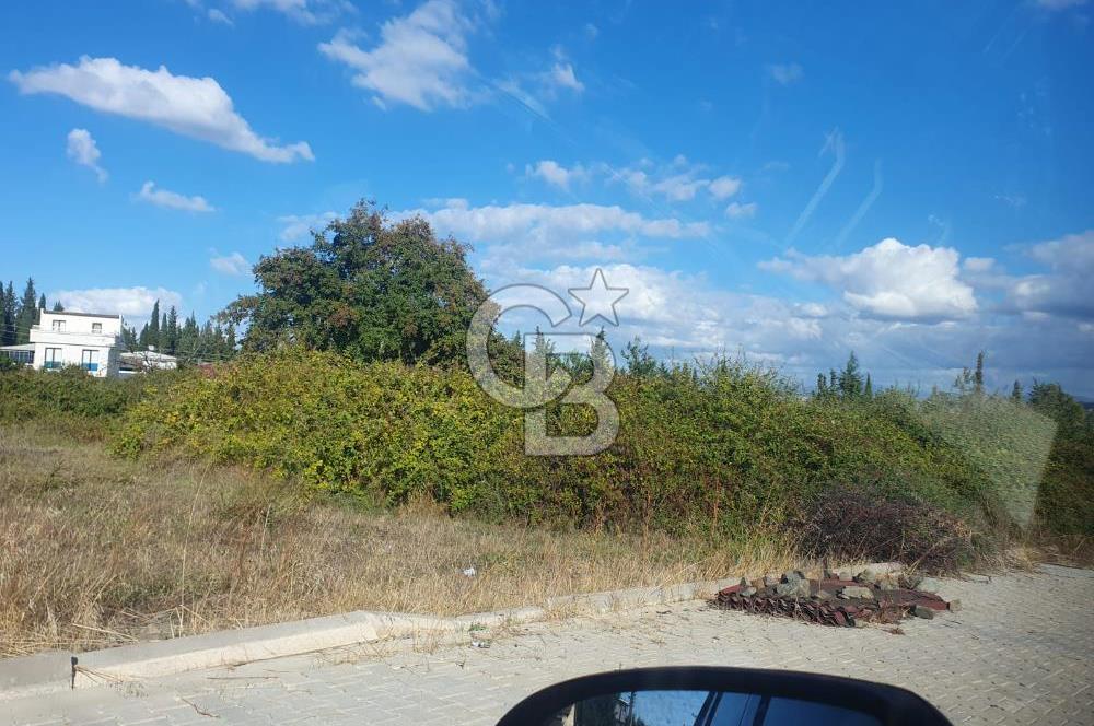 YALOVA FEVZİÇAKMAK HAKİM TEPEDE 5 PARSEL ARSA 