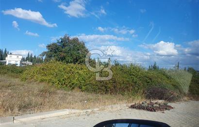 YALOVA FEVZİÇAKMAK HAKİM TEPEDE 5 PARSEL ARSA 