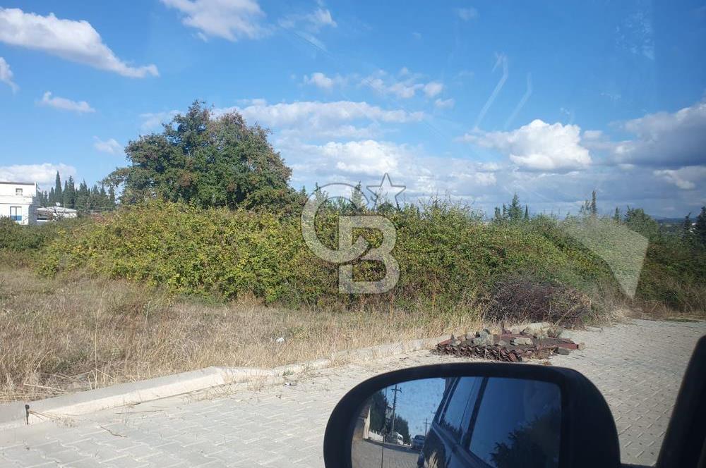YALOVA FEVZİÇAKMAK HAKİM TEPEDE 5 PARSEL ARSA 