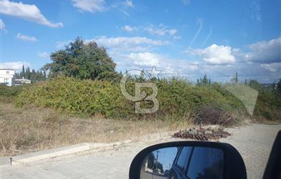 YALOVA FEVZİÇAKMAK HAKİM TEPEDE 5 PARSEL ARSA 