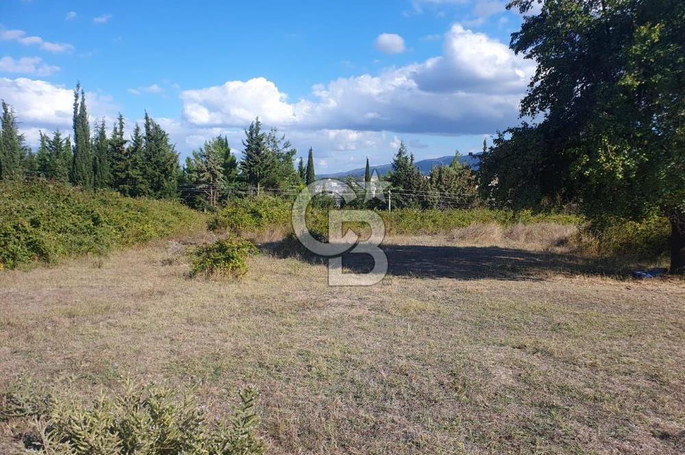 YALOVA FEVZİÇAKMAK HAKİM TEPEDE 5 PARSEL ARSA 
