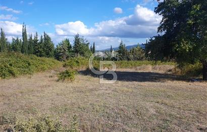 YALOVA FEVZİÇAKMAK HAKİM TEPEDE 5 PARSEL ARSA 