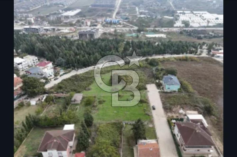 YALOVA FEVZİÇAKMAK HAKİM TEPEDE 5 PARSEL ARSA 