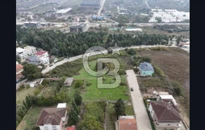 YALOVA FEVZİÇAKMAK HAKİM TEPEDE 5 PARSEL ARSA 