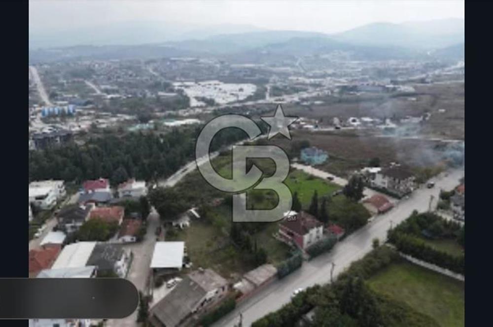 YALOVA FEVZİÇAKMAK HAKİM TEPEDE 5 PARSEL ARSA 