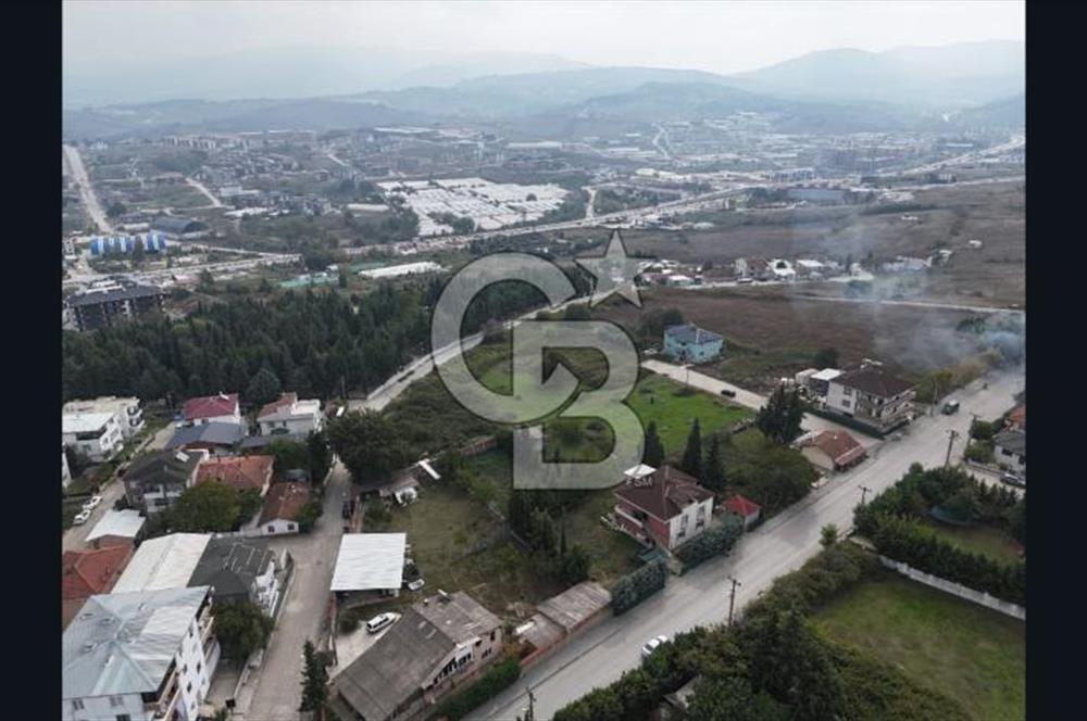 YALOVA FEVZİÇAKMAK HAKİM TEPEDE 5 PARSEL ARSA 
