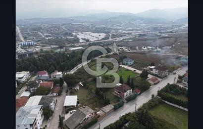YALOVA FEVZİÇAKMAK HAKİM TEPEDE 5 PARSEL ARSA 