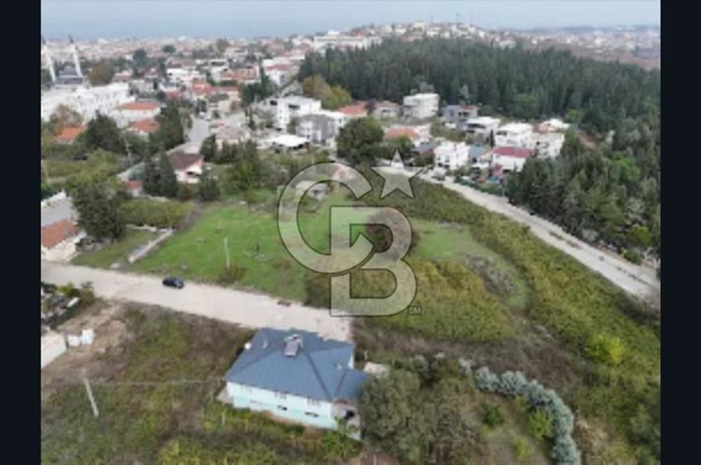 YALOVA FEVZİÇAKMAK HAKİM TEPEDE 5 PARSEL ARSA 