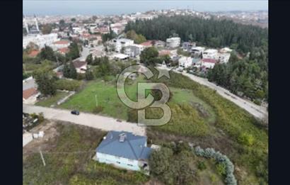 YALOVA FEVZİÇAKMAK HAKİM TEPEDE 5 PARSEL ARSA 