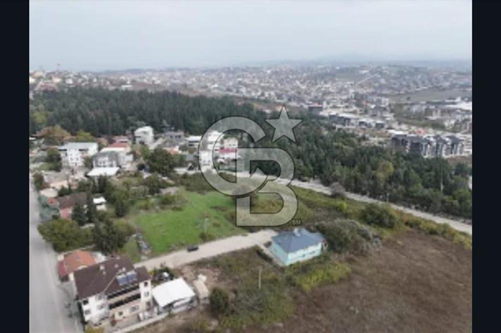 YALOVA FEVZİÇAKMAK HAKİM TEPEDE 5 PARSEL ARSA 