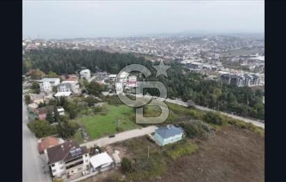 YALOVA FEVZİÇAKMAK HAKİM TEPEDE 5 PARSEL ARSA 