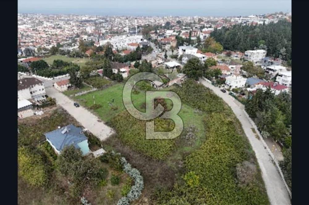 YALOVA FEVZİÇAKMAK HAKİM TEPEDE 5 PARSEL ARSA 