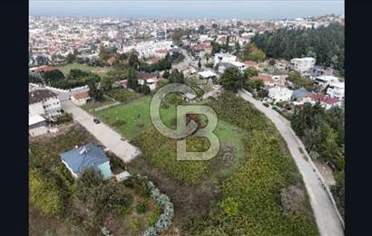 YALOVA FEVZİÇAKMAK HAKİM TEPEDE 5 PARSEL ARSA 