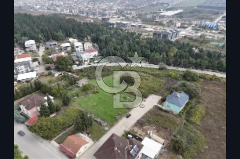 YALOVA FEVZİÇAKMAK HAKİM TEPEDE 5 PARSEL ARSA 