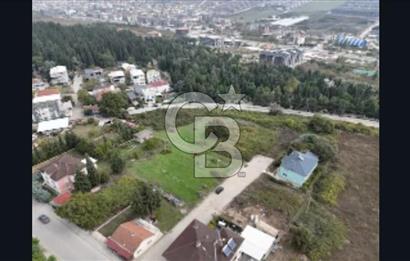 YALOVA FEVZİÇAKMAK HAKİM TEPEDE 5 PARSEL ARSA 