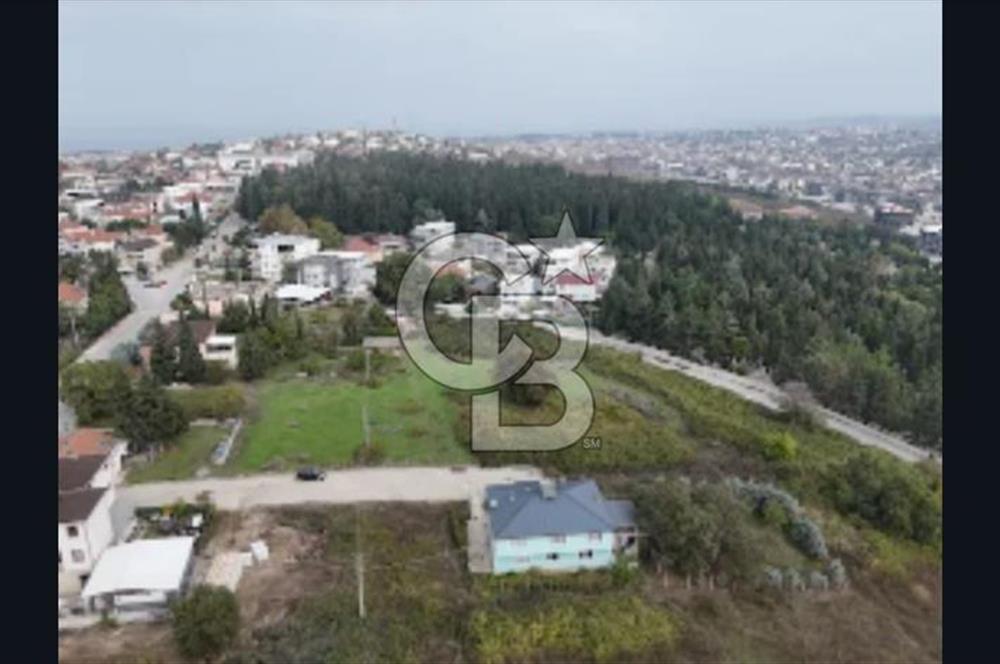 YALOVA FEVZİÇAKMAK HAKİM TEPEDE 5 PARSEL ARSA 