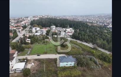 YALOVA FEVZİÇAKMAK HAKİM TEPEDE 5 PARSEL ARSA 