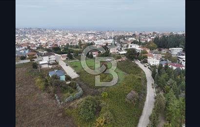 YALOVA FEVZİÇAKMAK HAKİM TEPEDE 5 PARSEL ARSA