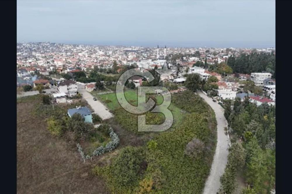 YALOVA FEVZİÇAKMAK HAKİM TEPEDE 5 PARSEL ARSA 