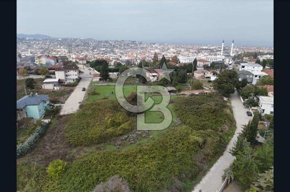 YALOVA FEVZİÇAKMAK HAKİM TEPEDE 5 PARSEL ARSA 