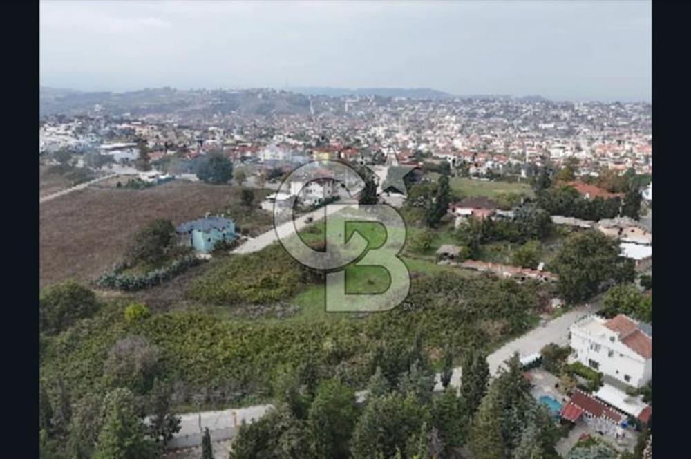 YALOVA FEVZİÇAKMAK HAKİM TEPEDE 5 PARSEL ARSA 