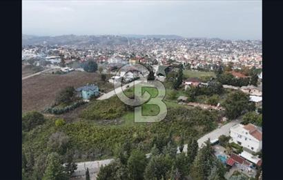 YALOVA FEVZİÇAKMAK HAKİM TEPEDE 5 PARSEL ARSA 