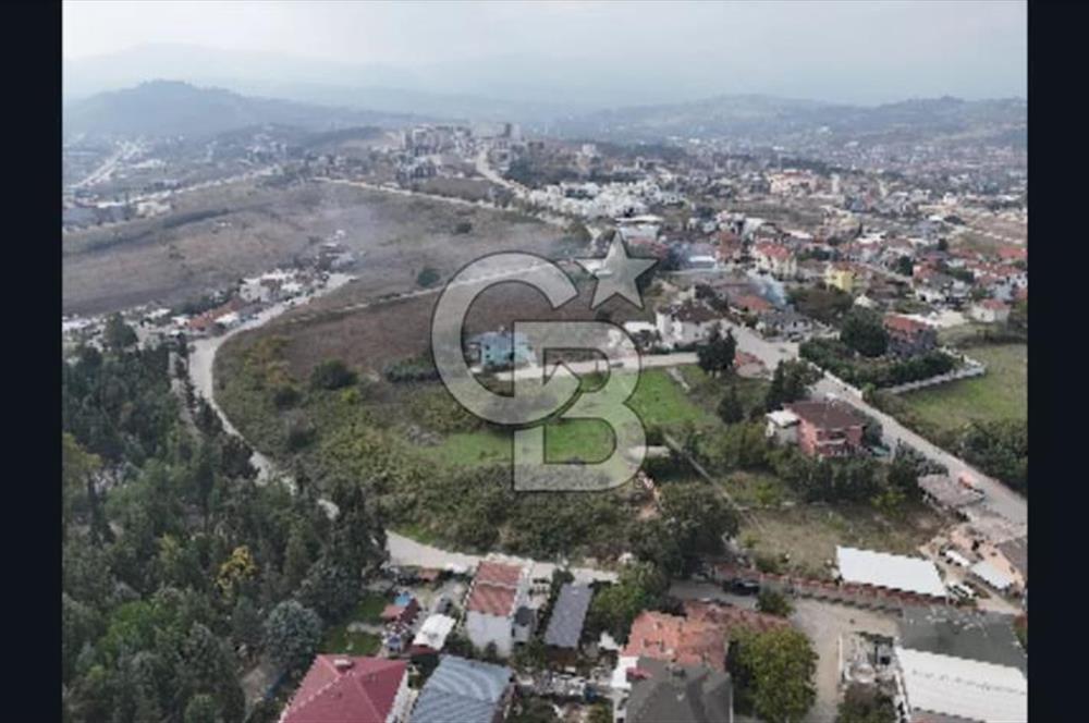 YALOVA FEVZİÇAKMAK HAKİM TEPEDE 5 PARSEL ARSA 
