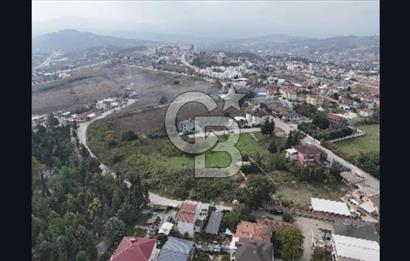 YALOVA FEVZİÇAKMAK HAKİM TEPEDE 5 PARSEL ARSA 