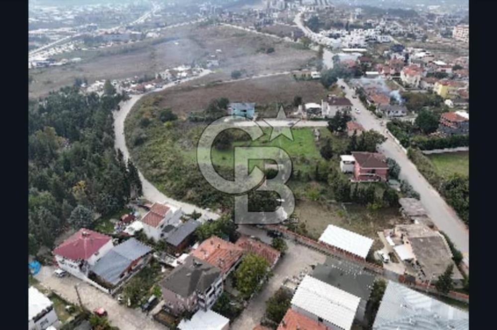 YALOVA FEVZİÇAKMAK HAKİM TEPEDE 5 PARSEL ARSA 