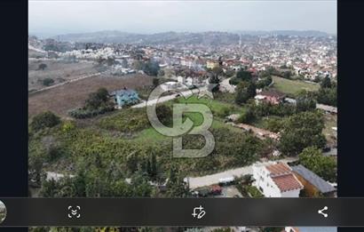 YALOVA FEVZİÇAKMAK HAKİM TEPEDE 5 PARSEL ARSA 